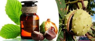 Tincture of chestnut - a folk remedy for the treatment of prostatitis
